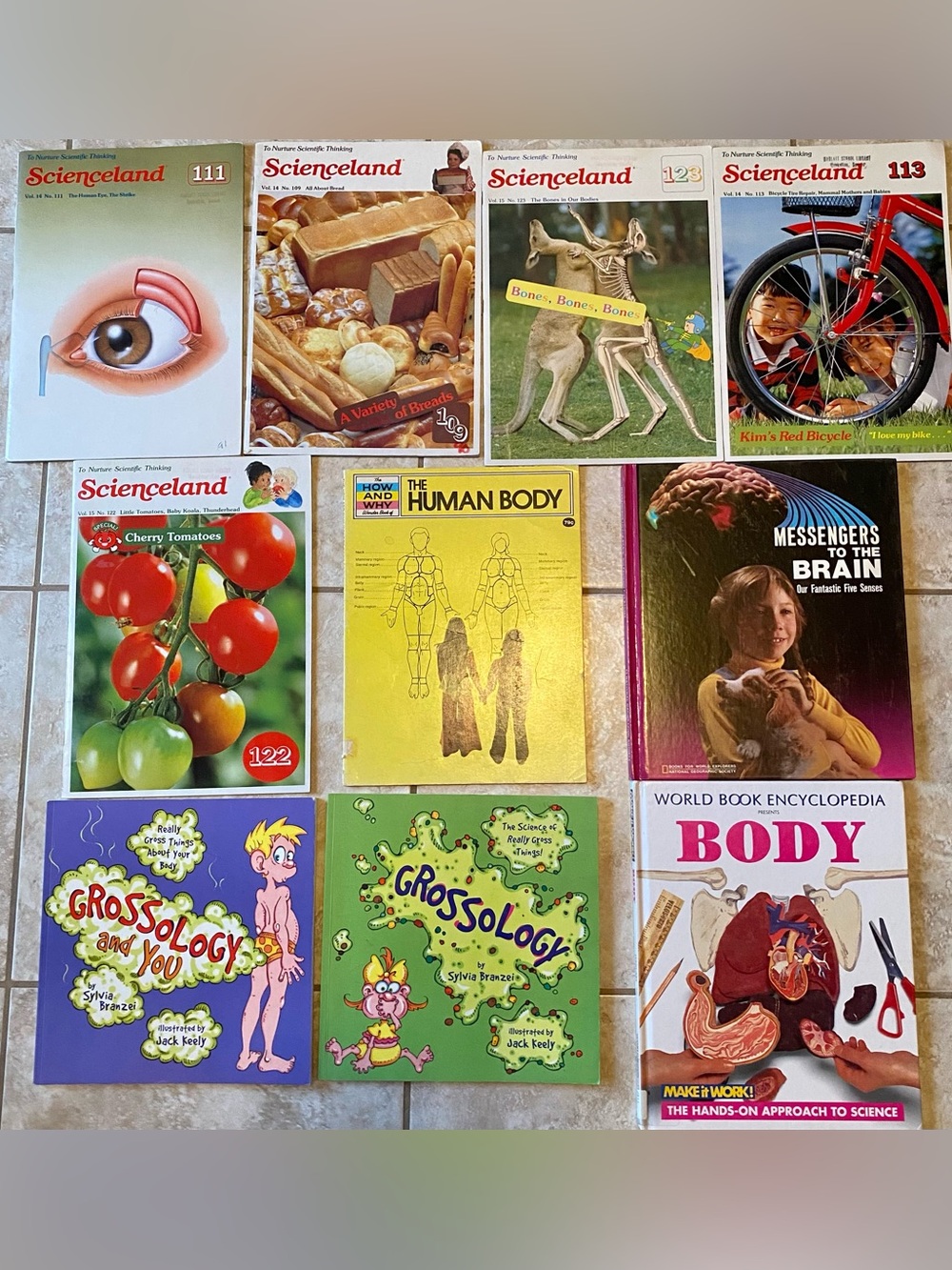 Lot 10 Human Body Books Magazines Elementary Middle School Education Grossology
